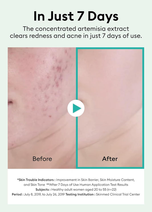 Missha Time Revolution Artemisia Ampoule - Missha Middle East